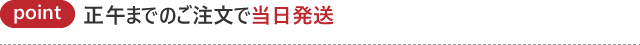 POINT03 正午までのご注文で当日配送